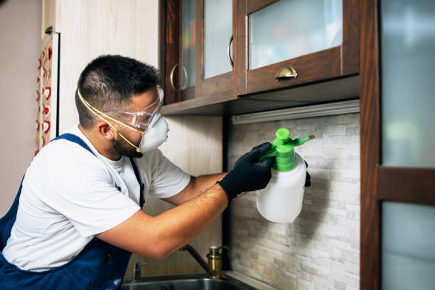 Best Wasp Removal Services  in Oakland, SC