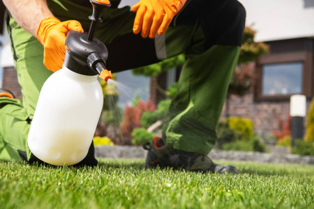 Best Cockroach Control Services  in Oakland, SC