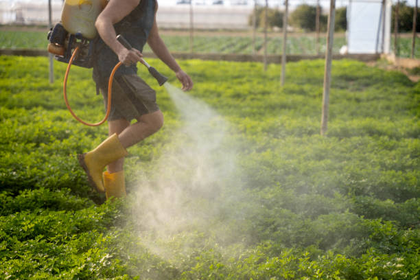 Best Best Pest Control Companies  in Oakland, SC