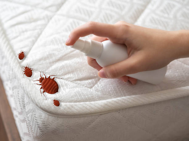 Best Bed Bug Extermination  in Oakland, SC