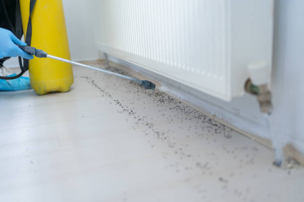 Best Spider Control Near Me  in Oakland, SC